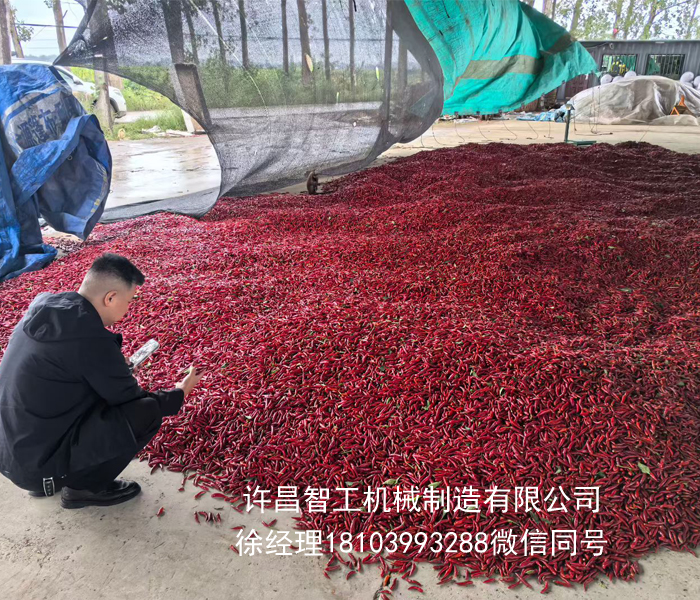 炒辣椒機器