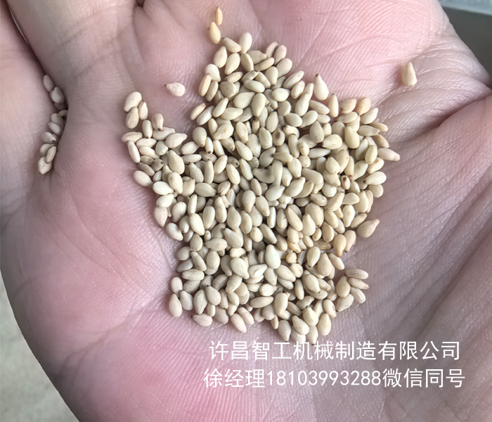 電磁炒芝麻機(jī)